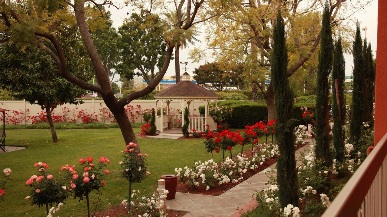 Photo of Outdoor in Guasti