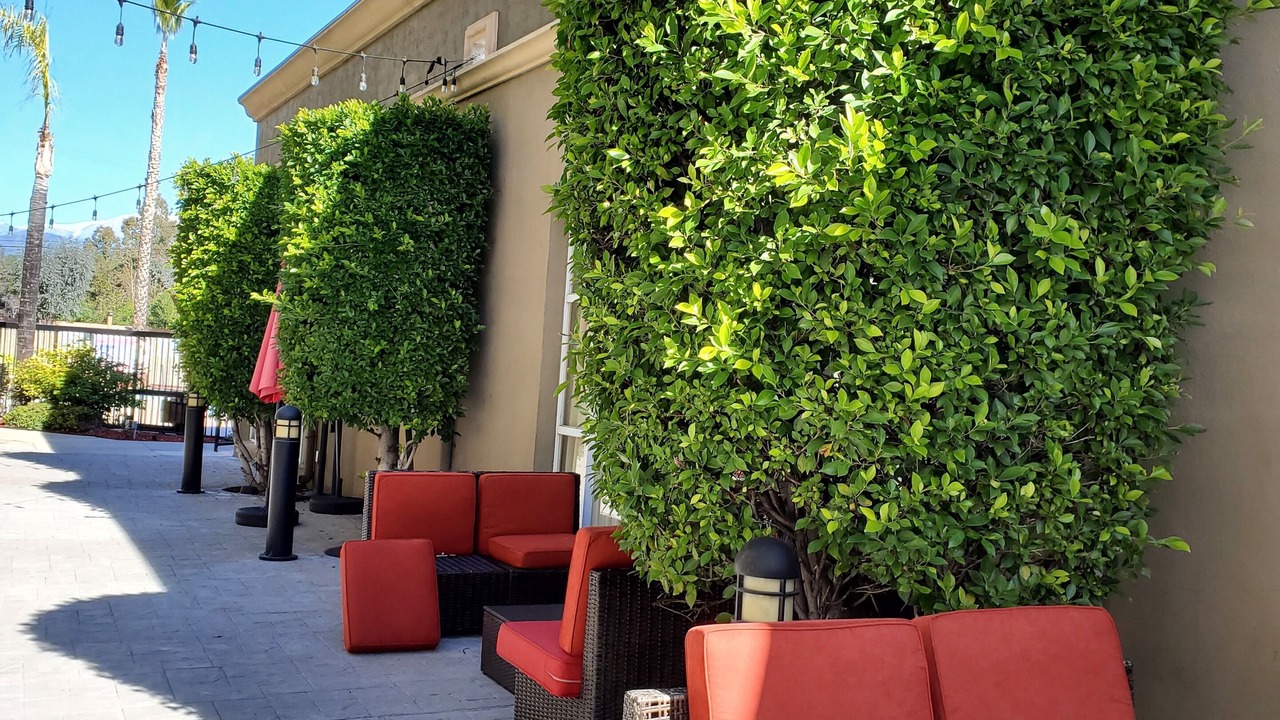 Photo of Outdoor in West Covina