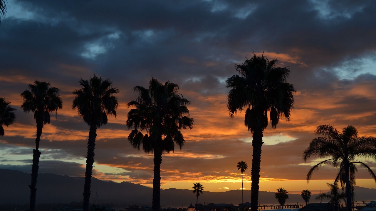 Photo of Outdoor in West Beach