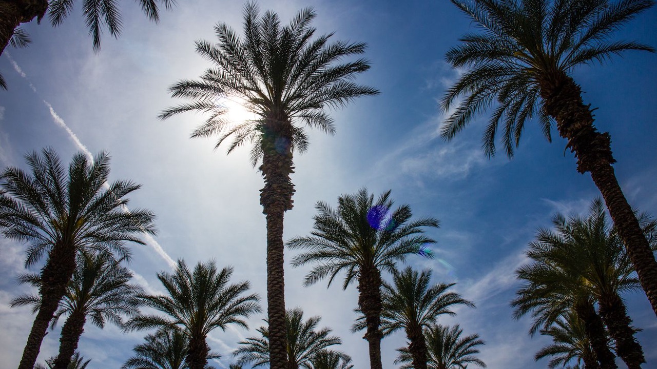 Photo of Outdoor in Palm Desert