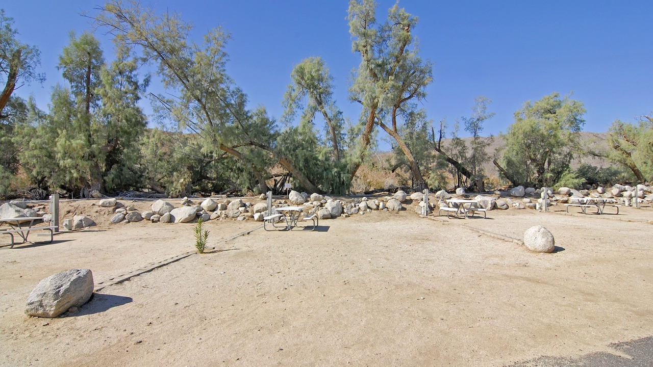 Photo of Outdoor in Borrego Springs
