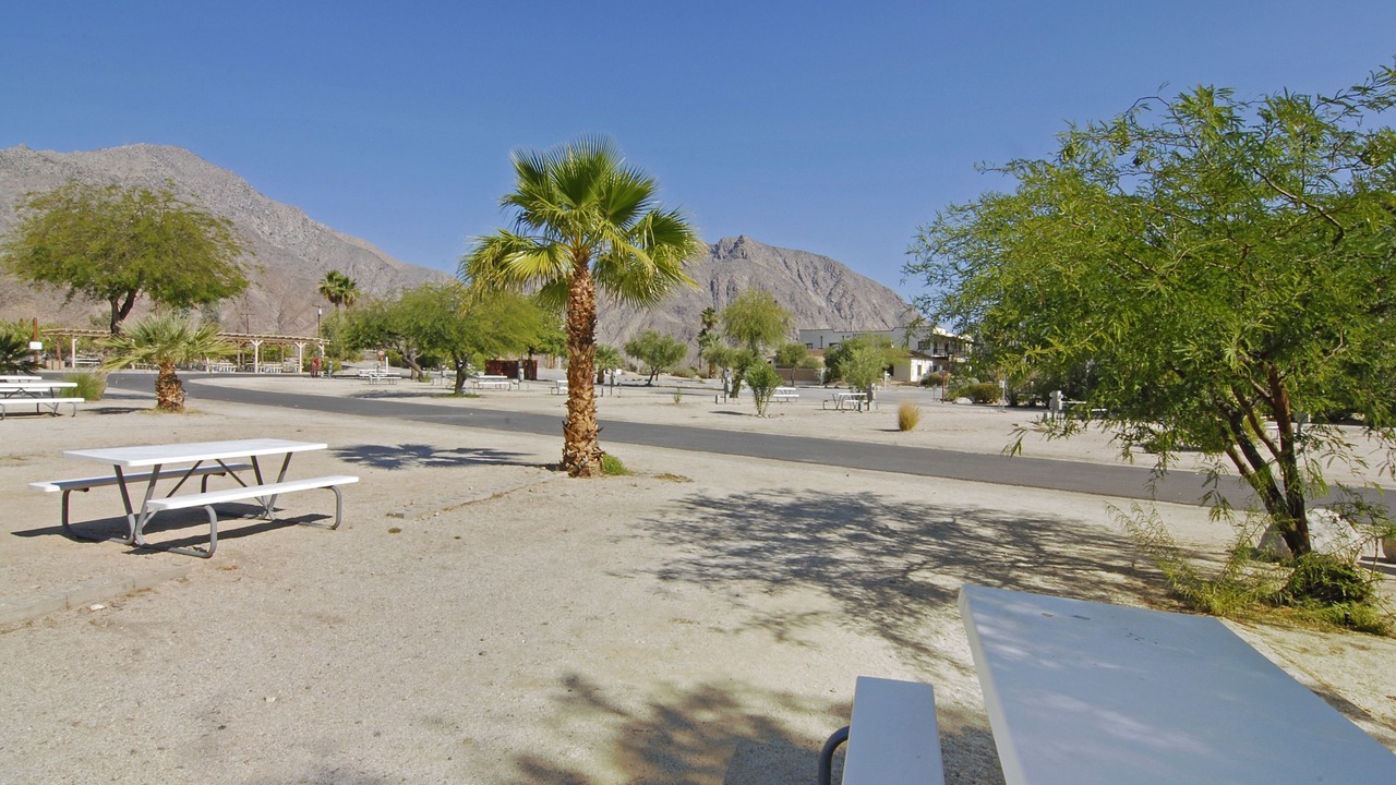 Photo of Others in Borrego Springs