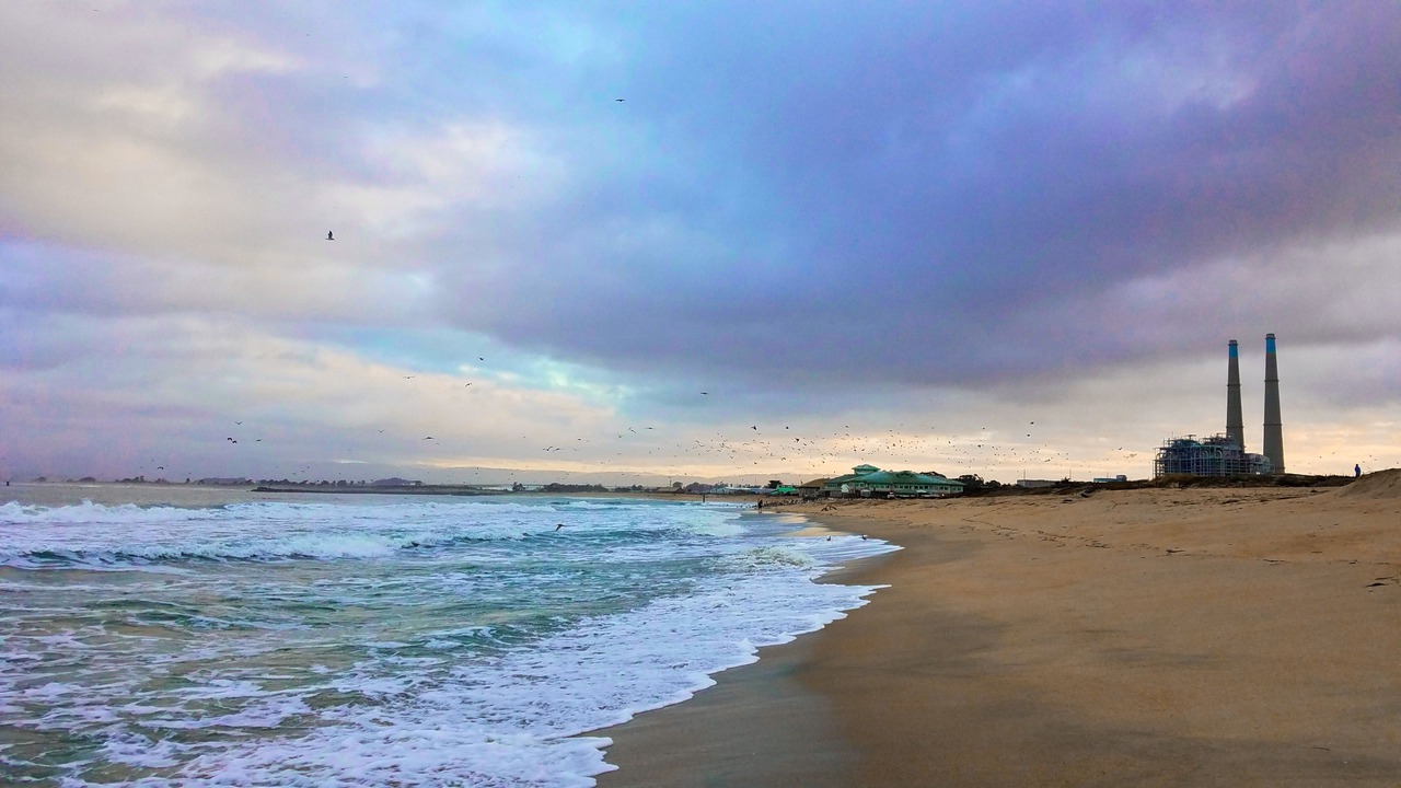 Photo of Others in Moss Landing