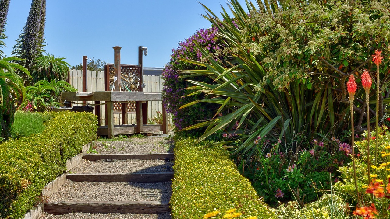 Photo of Outdoor in Fort Bragg
