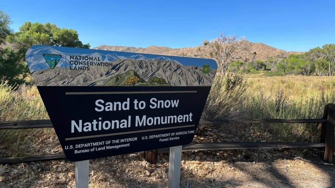Photo of Outdoor in Morongo Valley