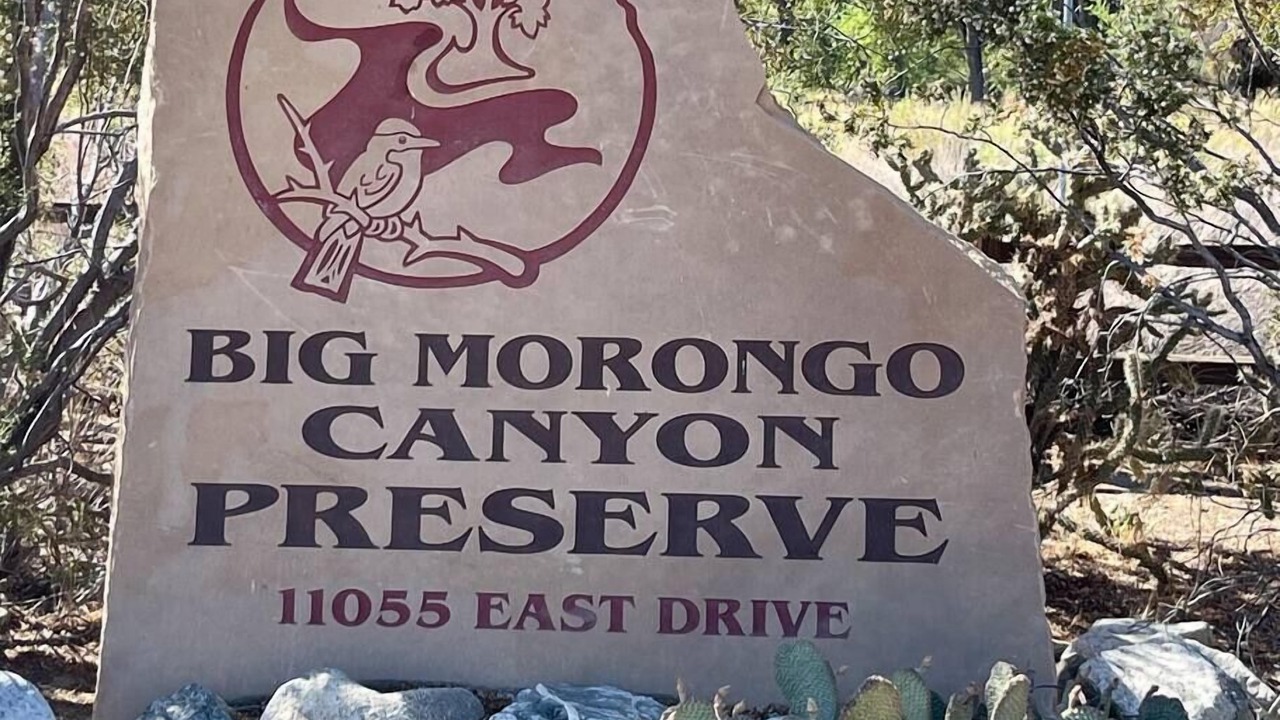 Photo of Outdoor in Morongo Valley