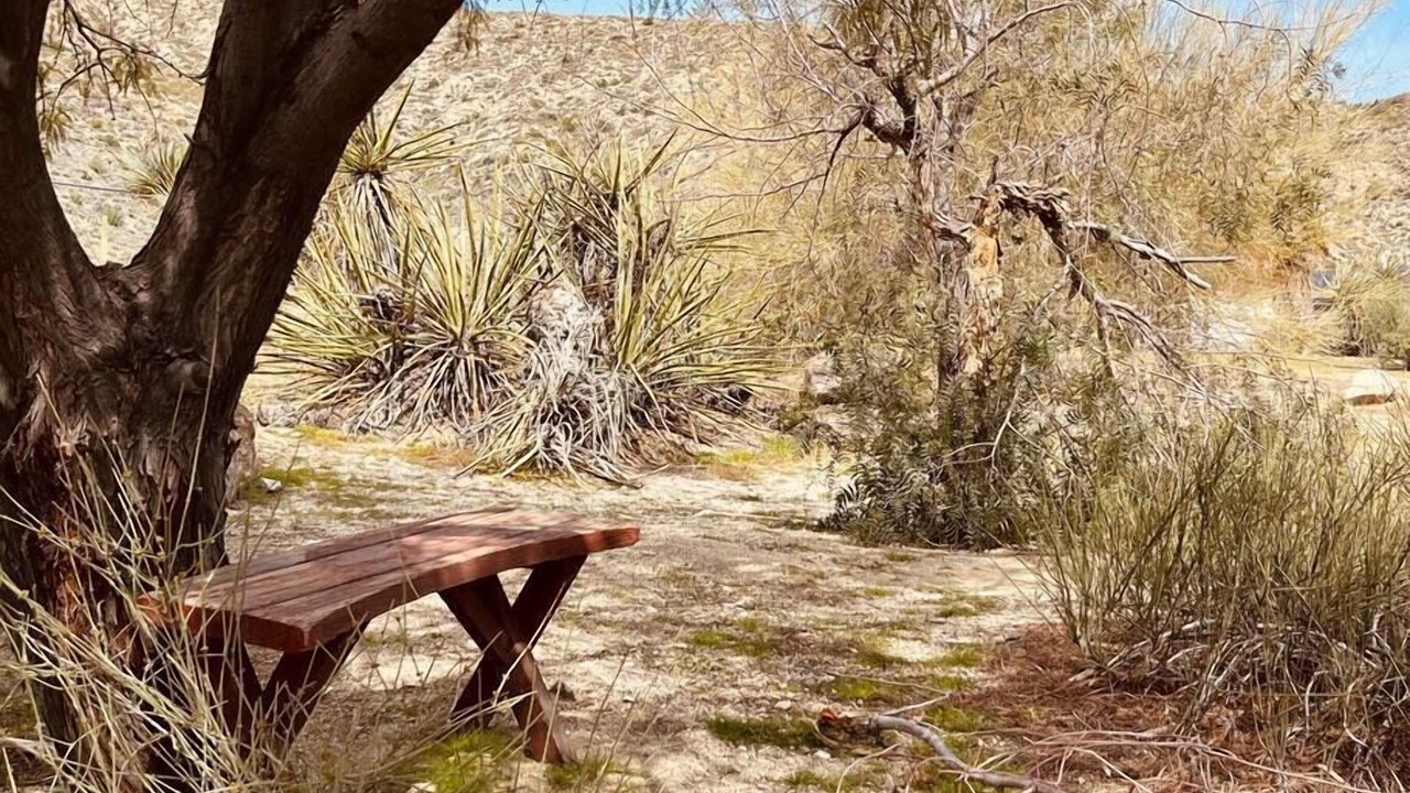 Photo of Outdoor in Morongo Valley