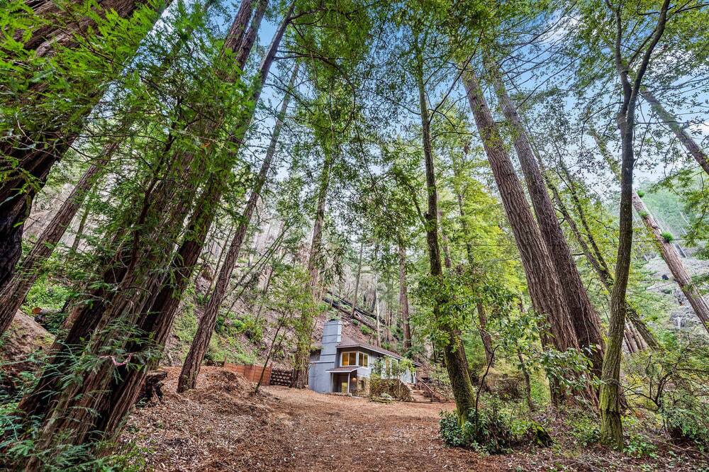 Photo of Others in Pescadero