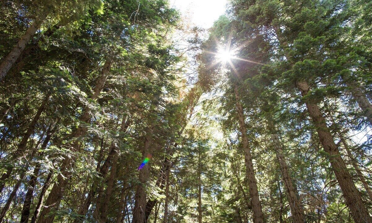 Photo of Others in Alta