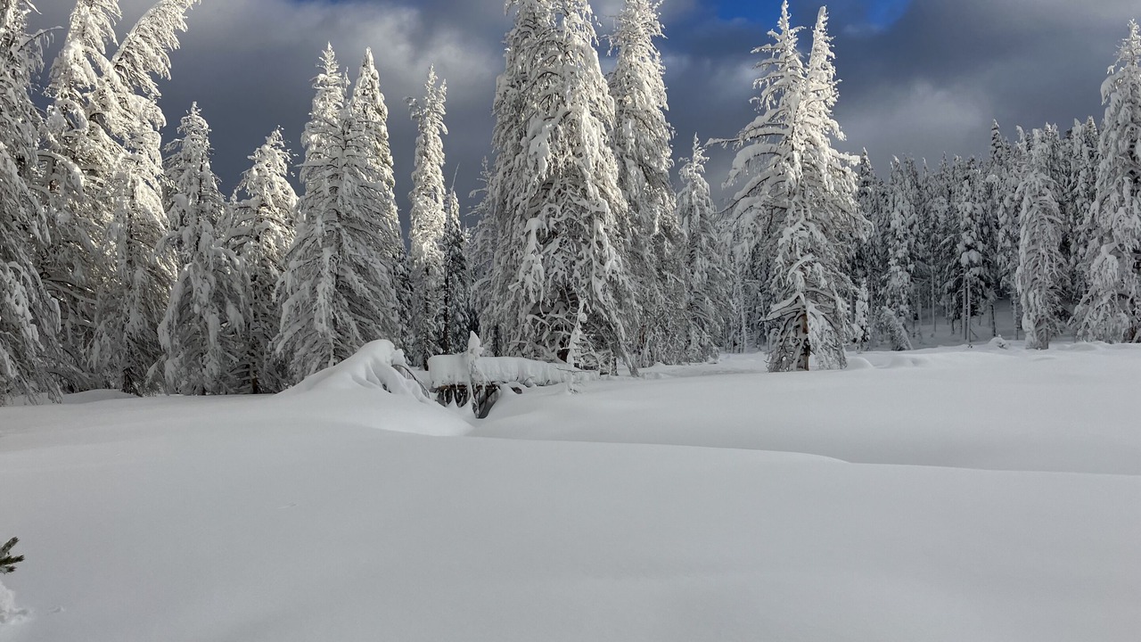 Photo of Others in Alta