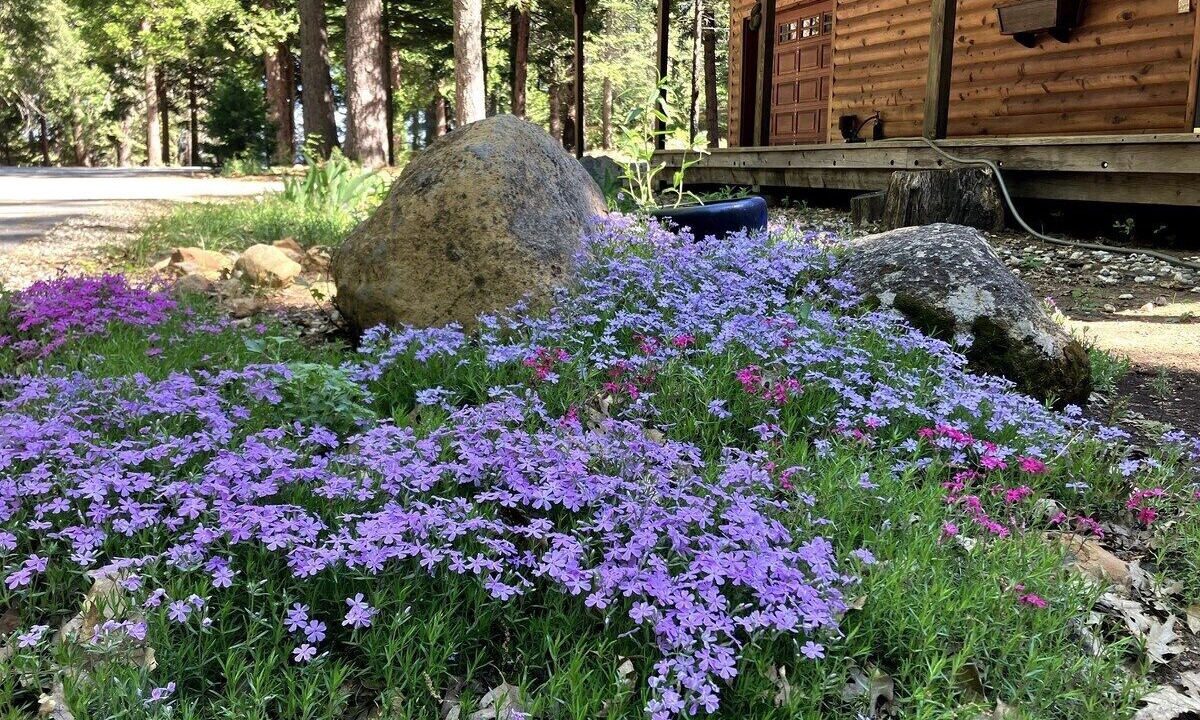 Photo of Outdoor in Alta