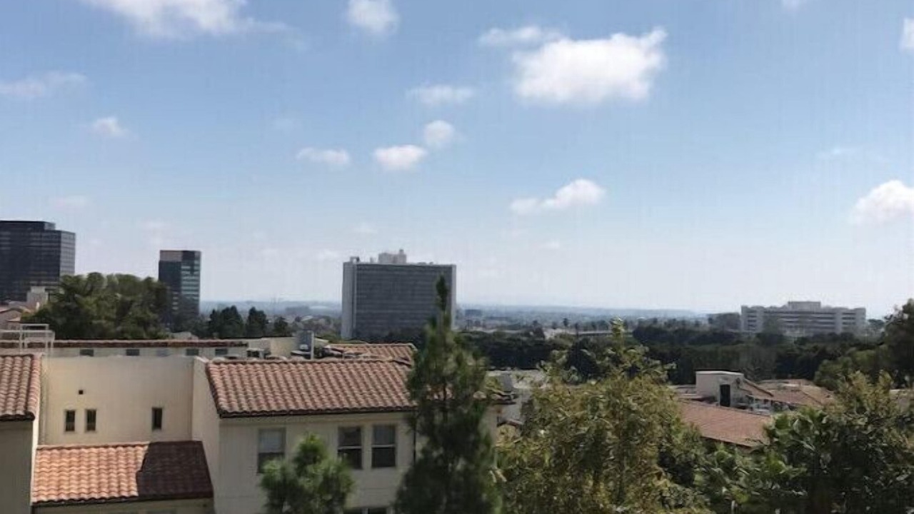 Photo of Others in Westwood