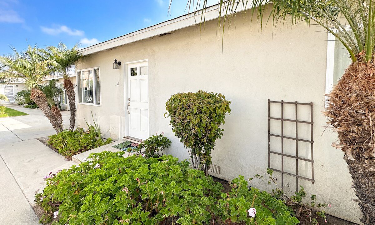 Photo of Outdoor in North Redondo