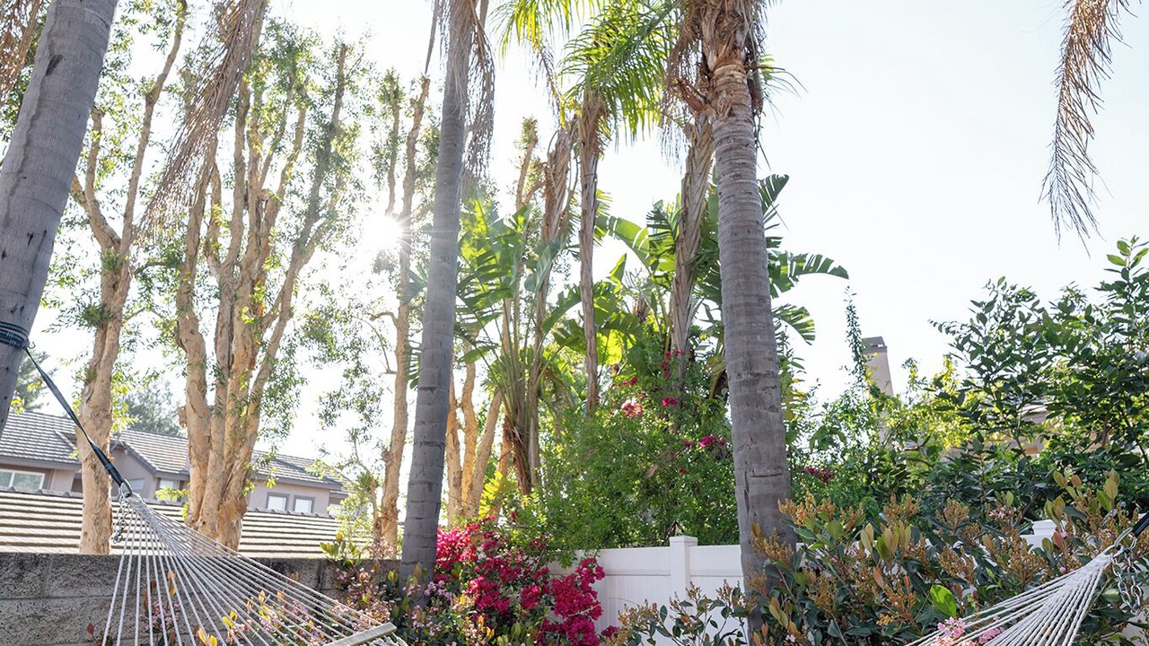 Photo of Outdoor in Anaheim Hills