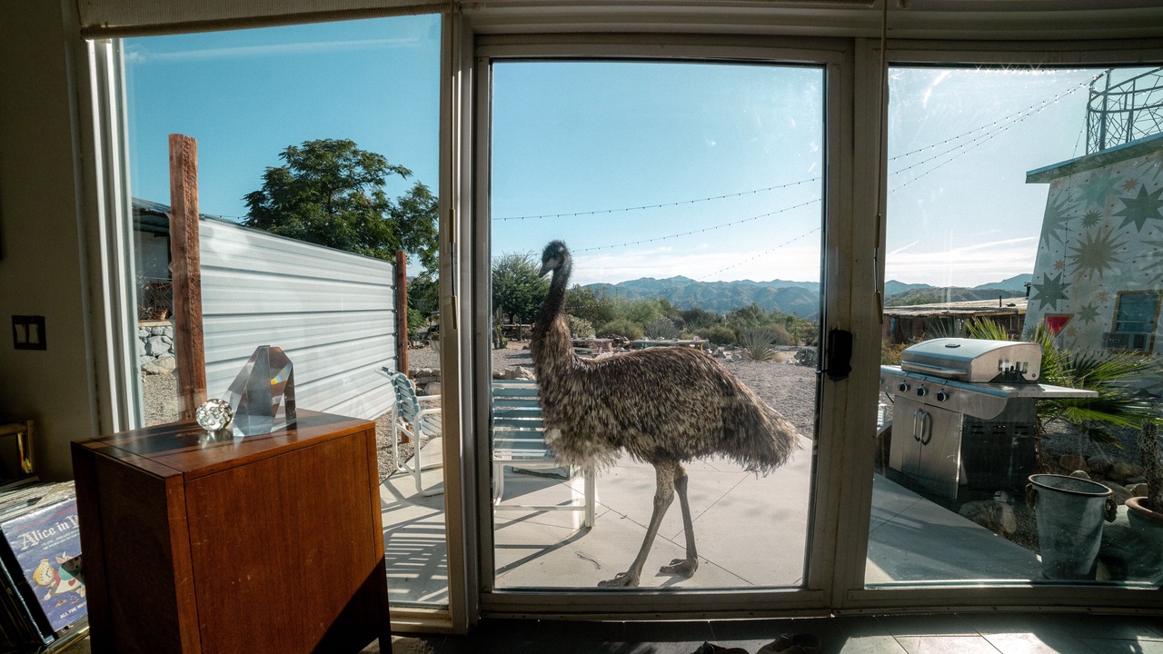 Photo of Others in Morongo Valley