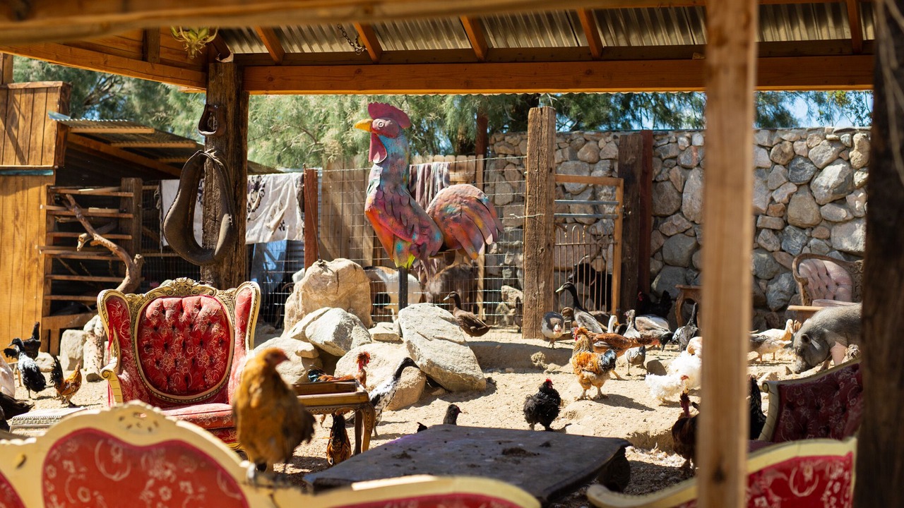 Photo of Outdoor in Morongo Valley