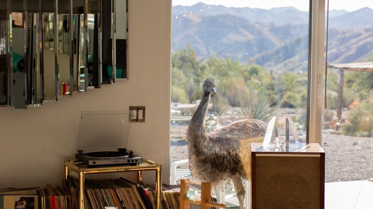 Photo of Others in Morongo Valley