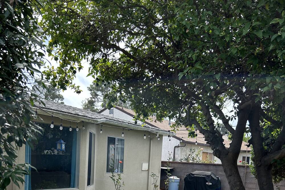 Photo of Others in Gardena