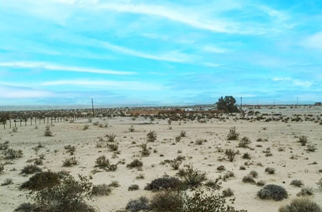 Photo of Others in Wonder Valley