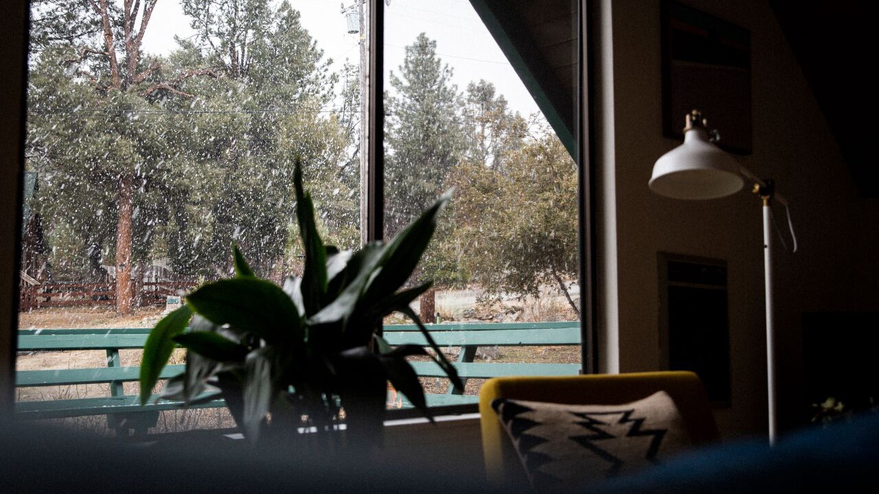 Photo of Others in Pine Mountain Club