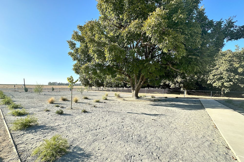 Photo of Others in Visalia