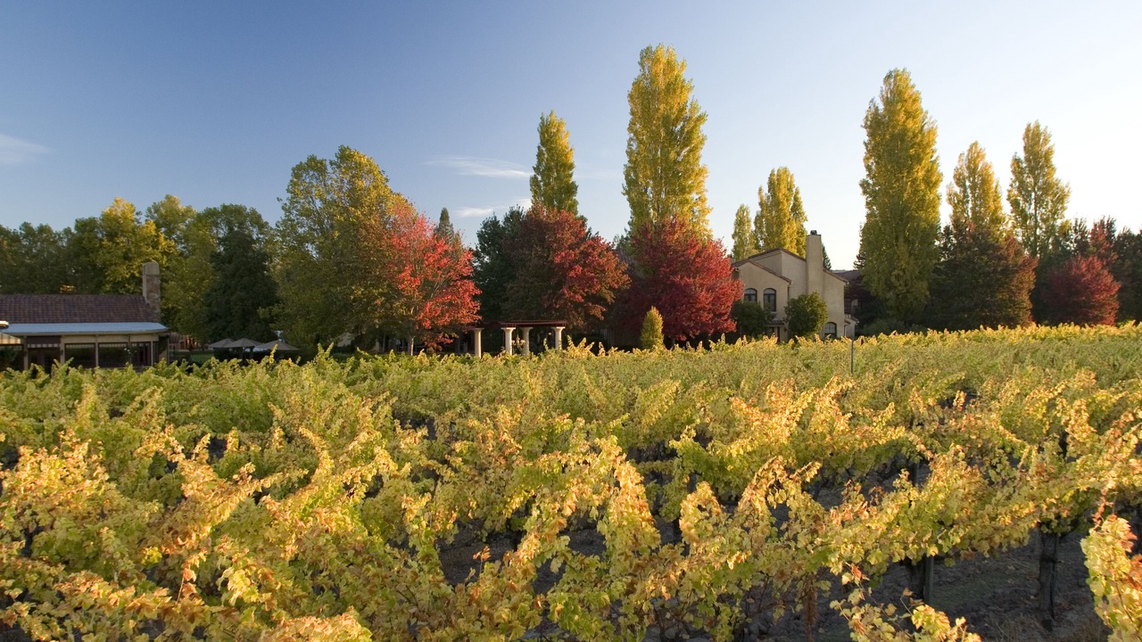 Photo of Outdoor in Santa Rosa