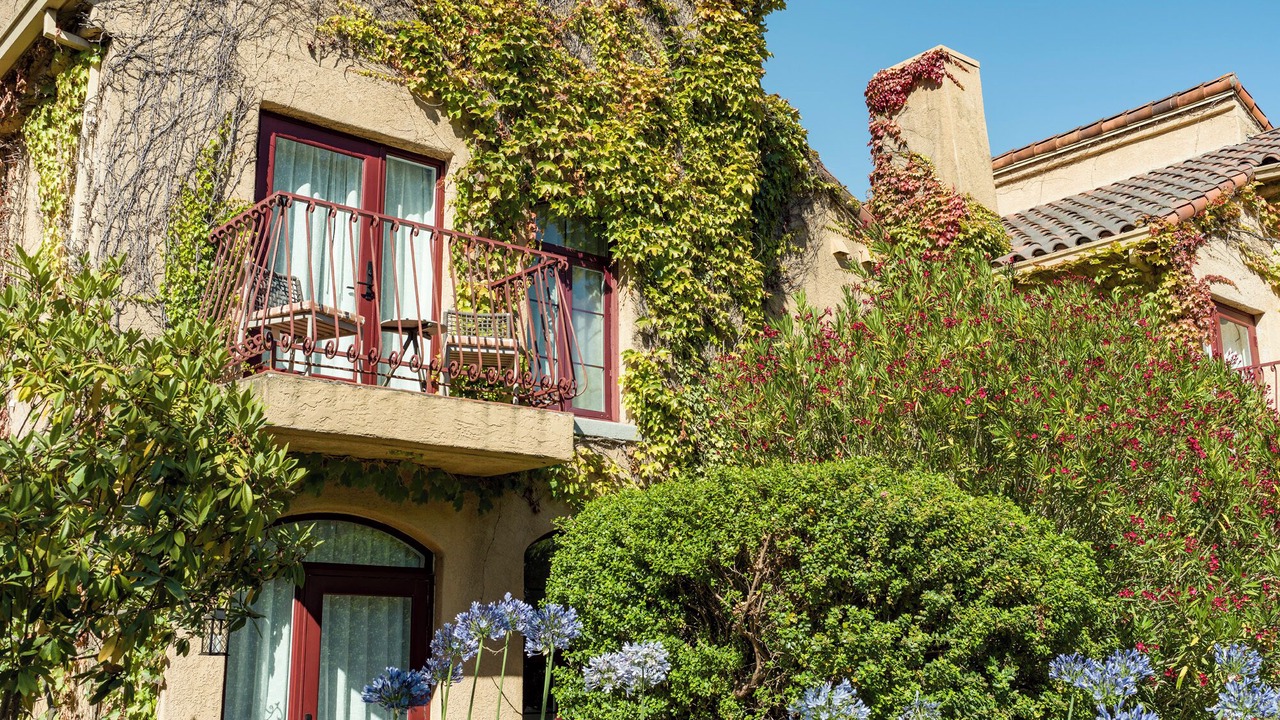 Photo of Outdoor in Santa Rosa