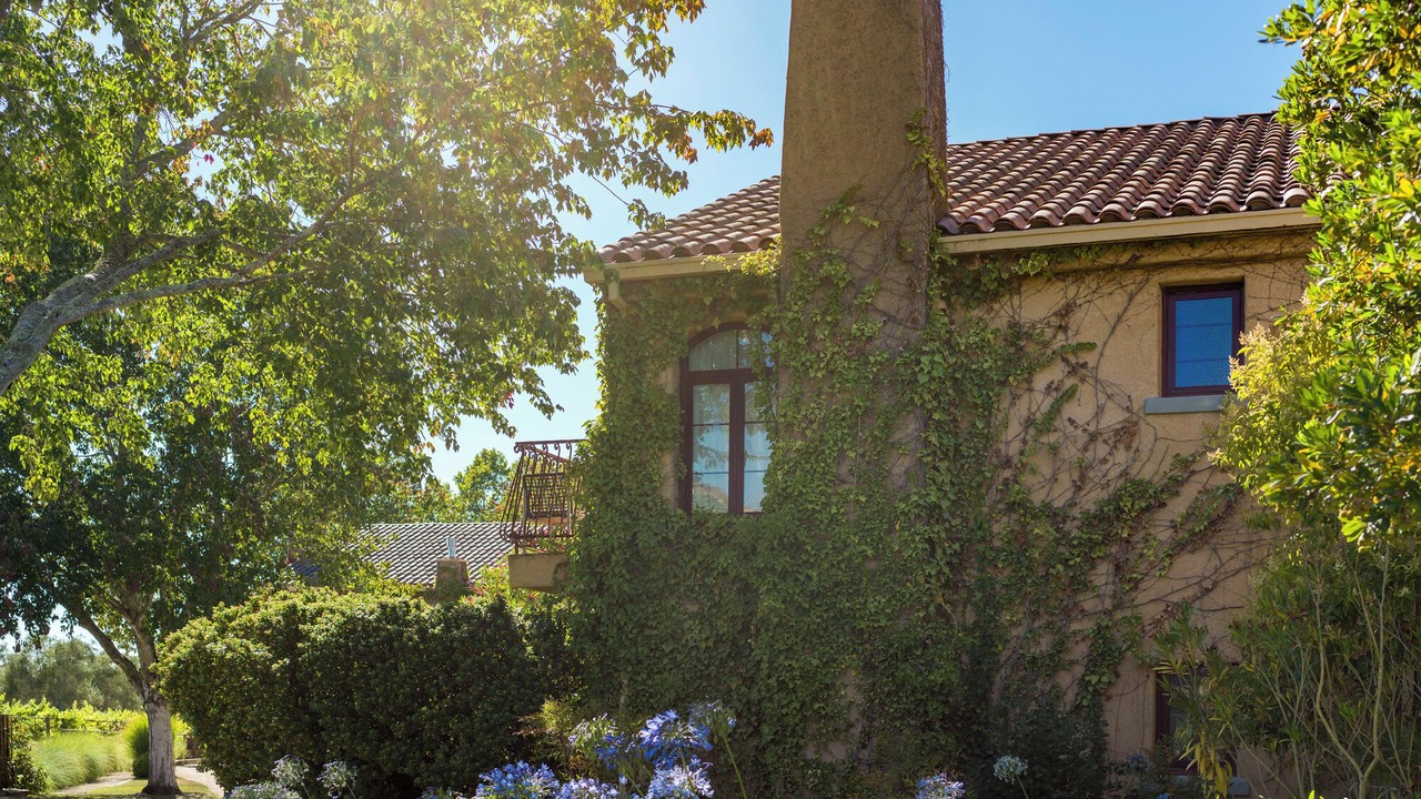 Photo of Outdoor in Santa Rosa