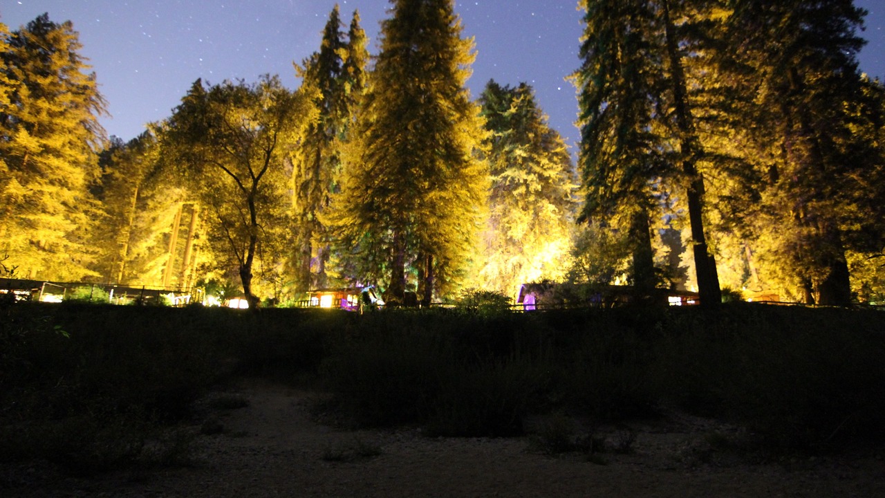Photo of Outdoor in Felton