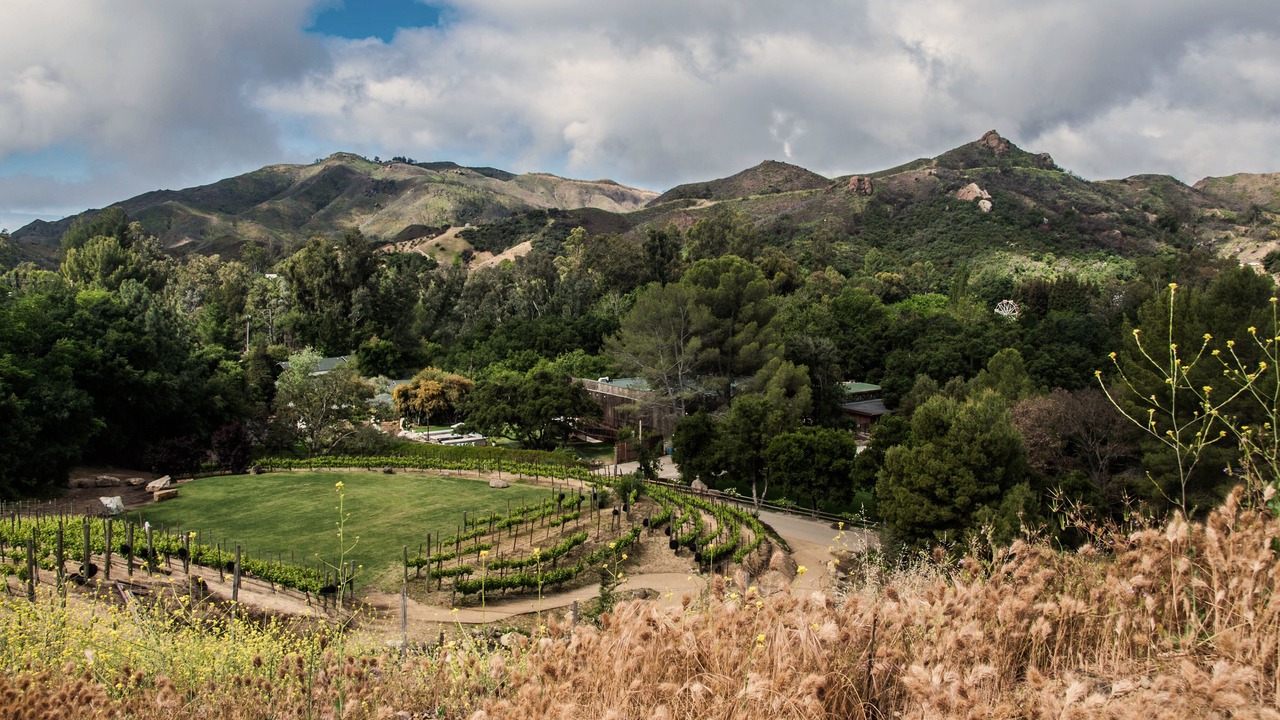 Photo of Others in Malibu