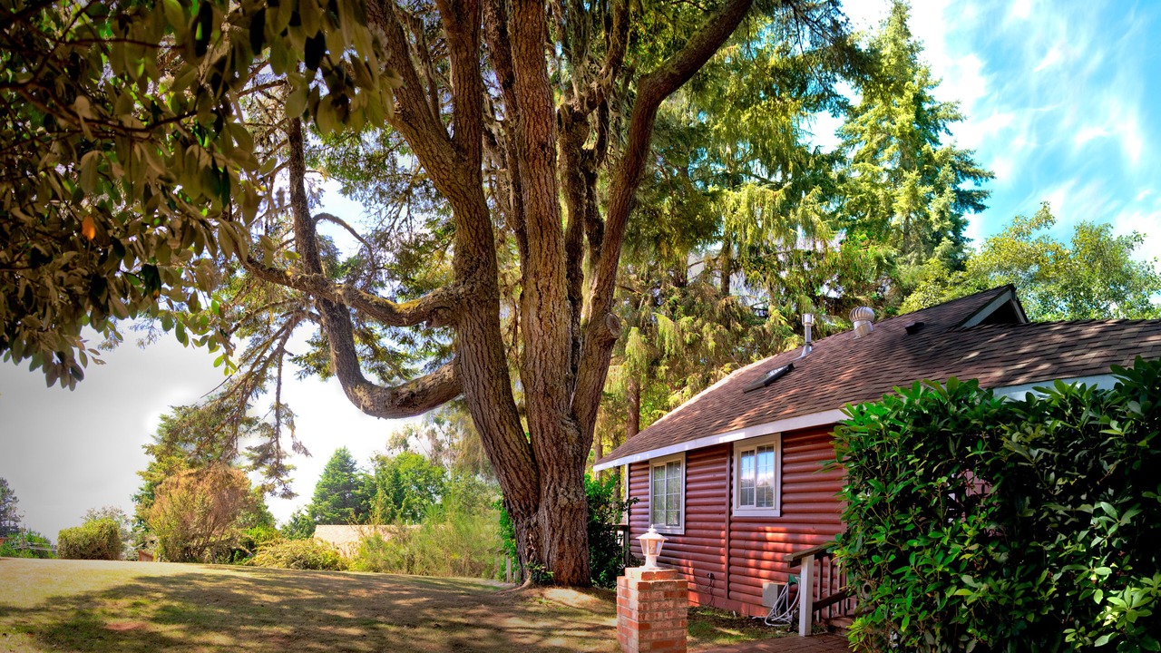 Photo of Outdoor in Trinidad