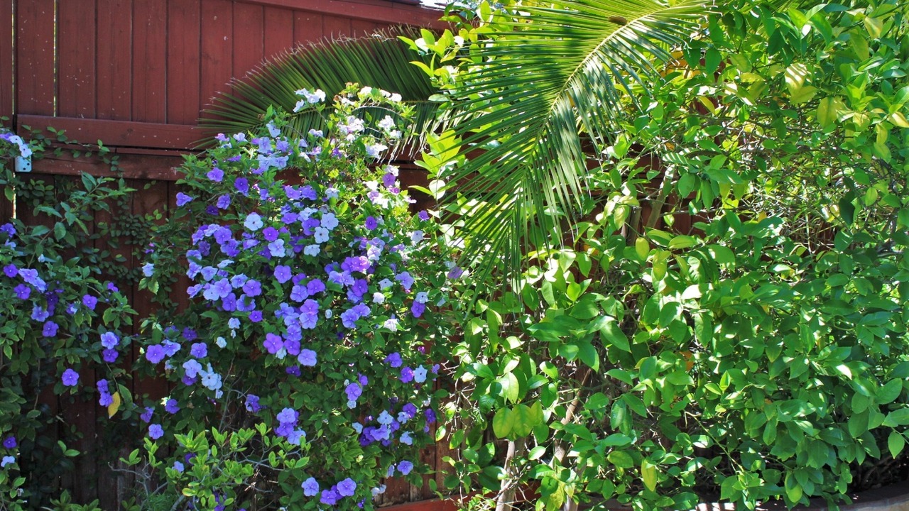 Photo of Outdoor in Sherman Oaks