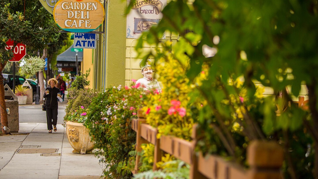 Photo of Others in Half Moon Bay