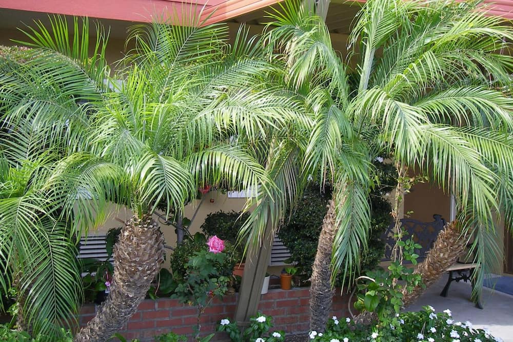 Photo of Outdoor in Fullerton