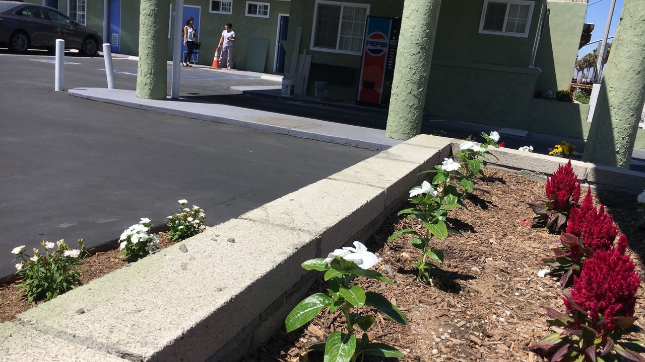 Photo of Outdoor in Lynwood