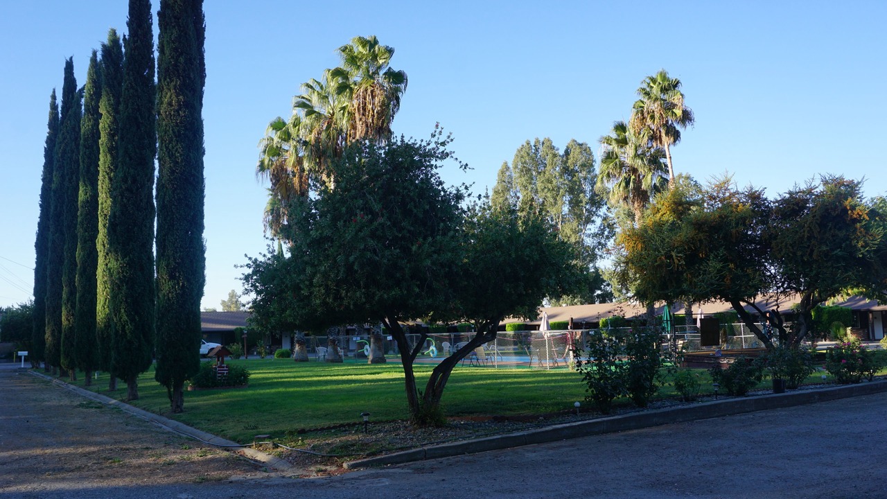 Photo of Outdoor in Willows