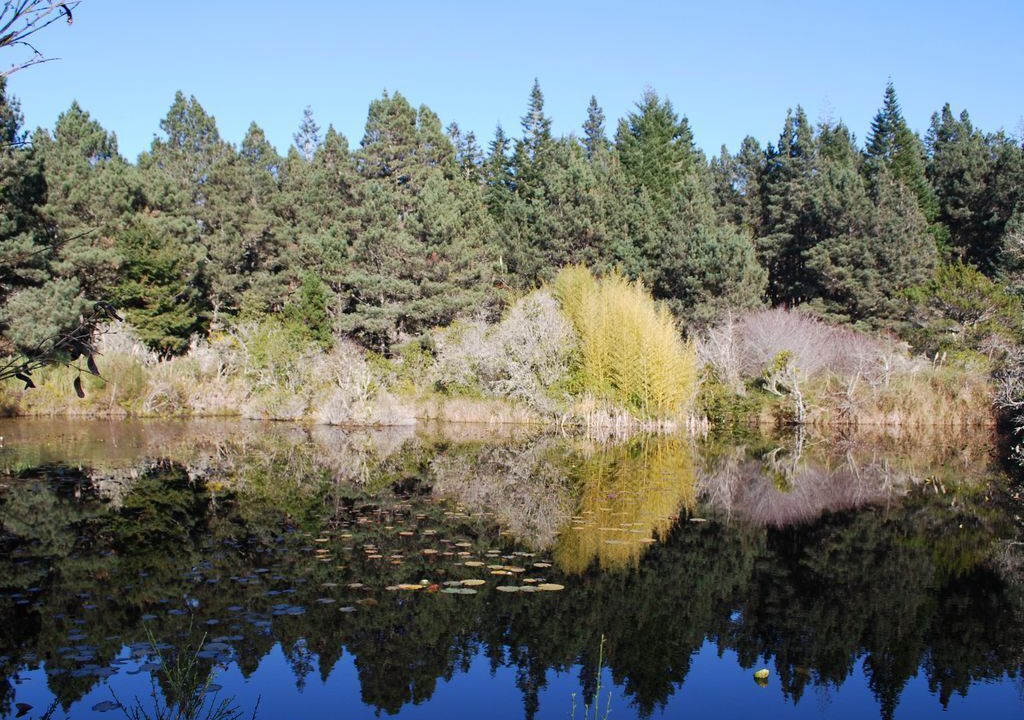 Photo of Others in Mendocino