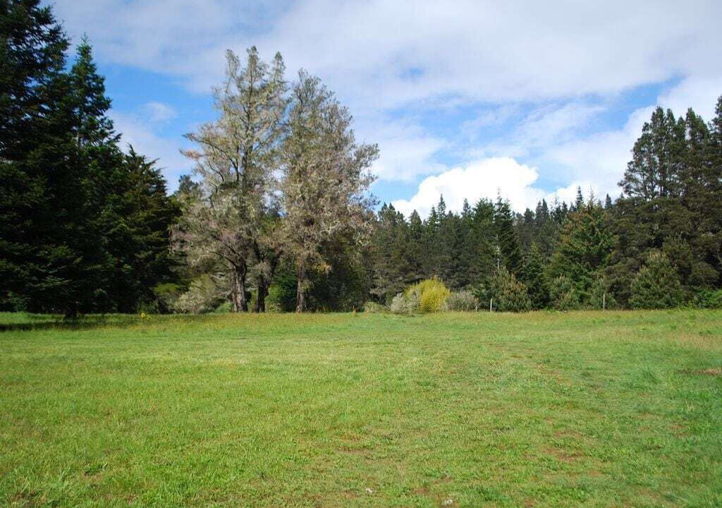 Photo of Others in Mendocino