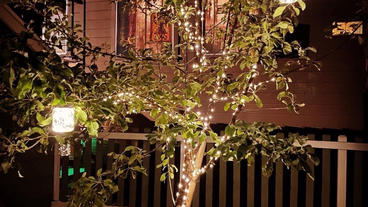 Photo of Outdoor in Crestline