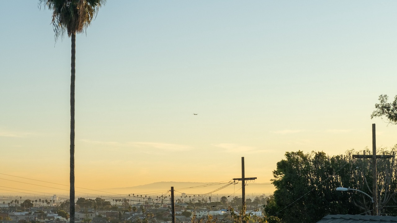 Photo of Others in Los Angeles