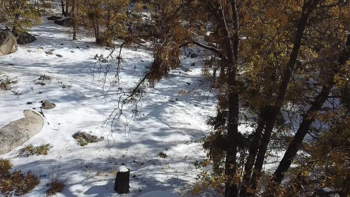 Photo of Outdoor in Arrowbear Lake