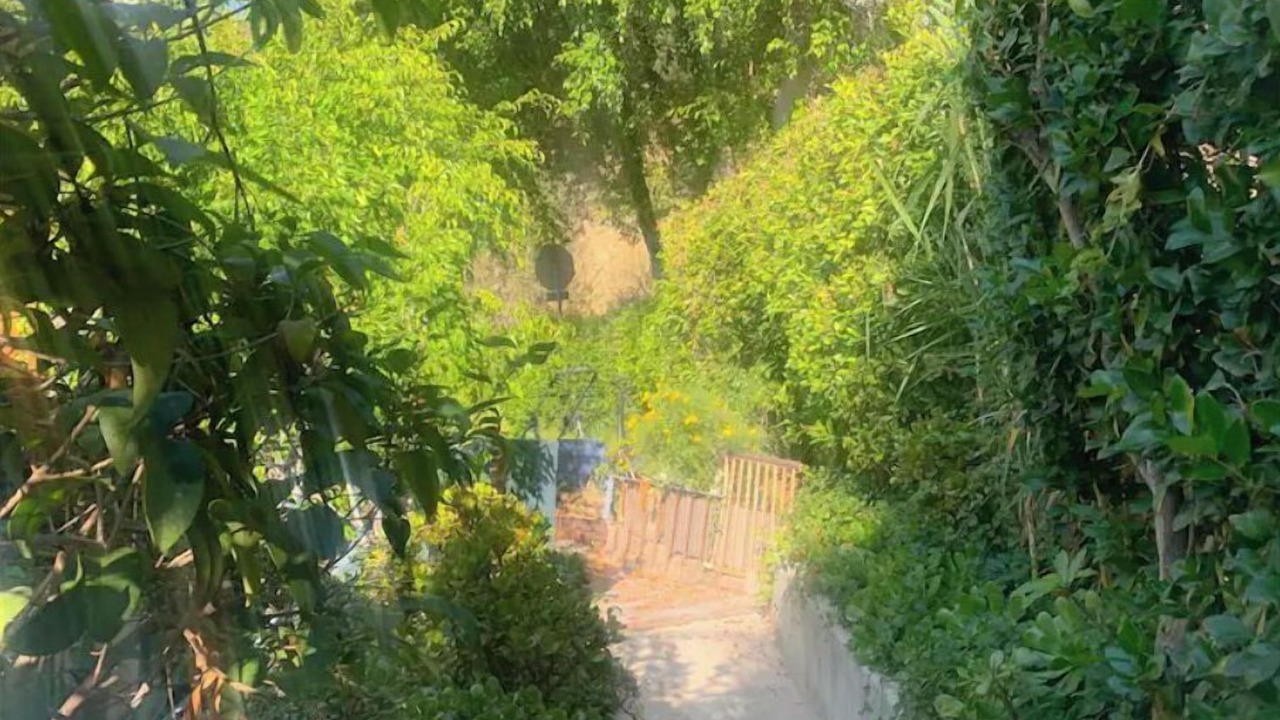 Photo of Outdoor in Rossmoyne