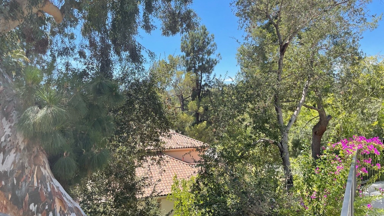 Photo of Outdoor in La Canada Flintridge