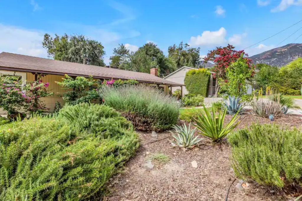 Photo of Outdoor in Altadena