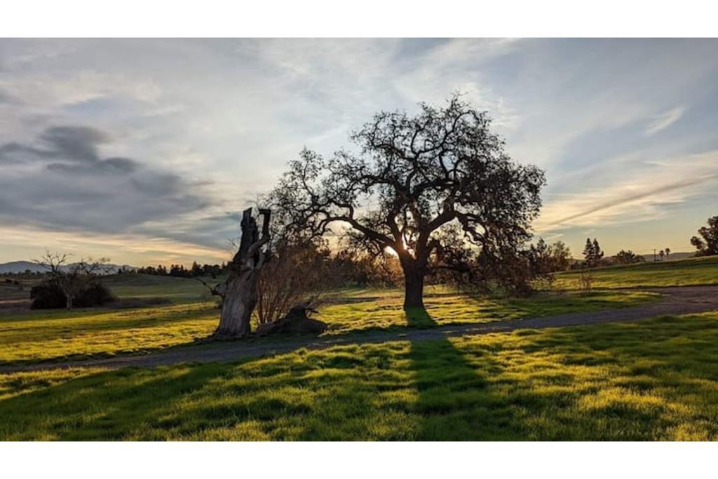 Photo of Outdoor in Chatsworth