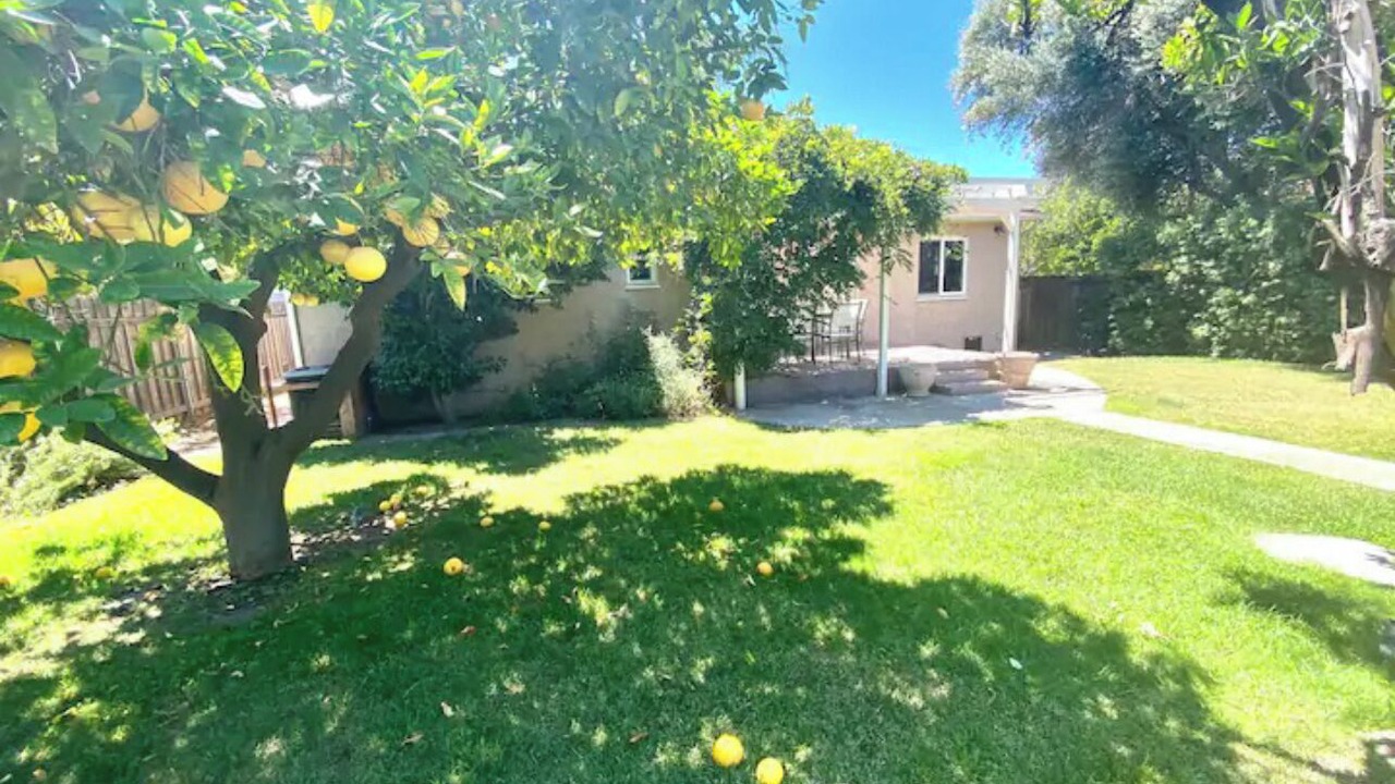 Photo of Outdoor in Valley Glen