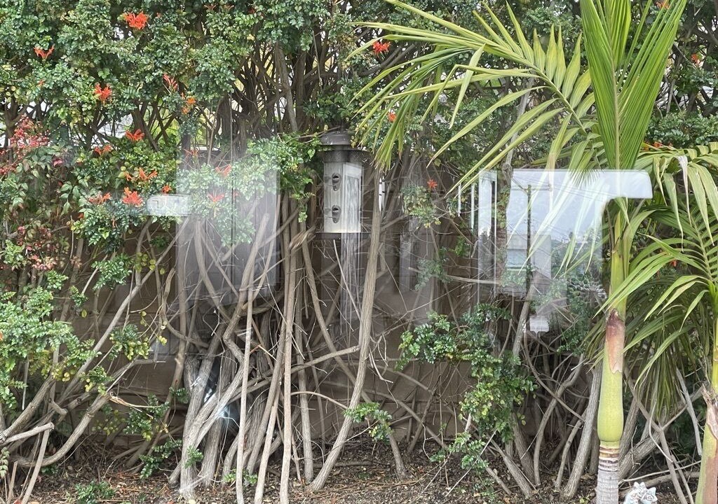 Photo of Outdoor in Olde Carlsbad