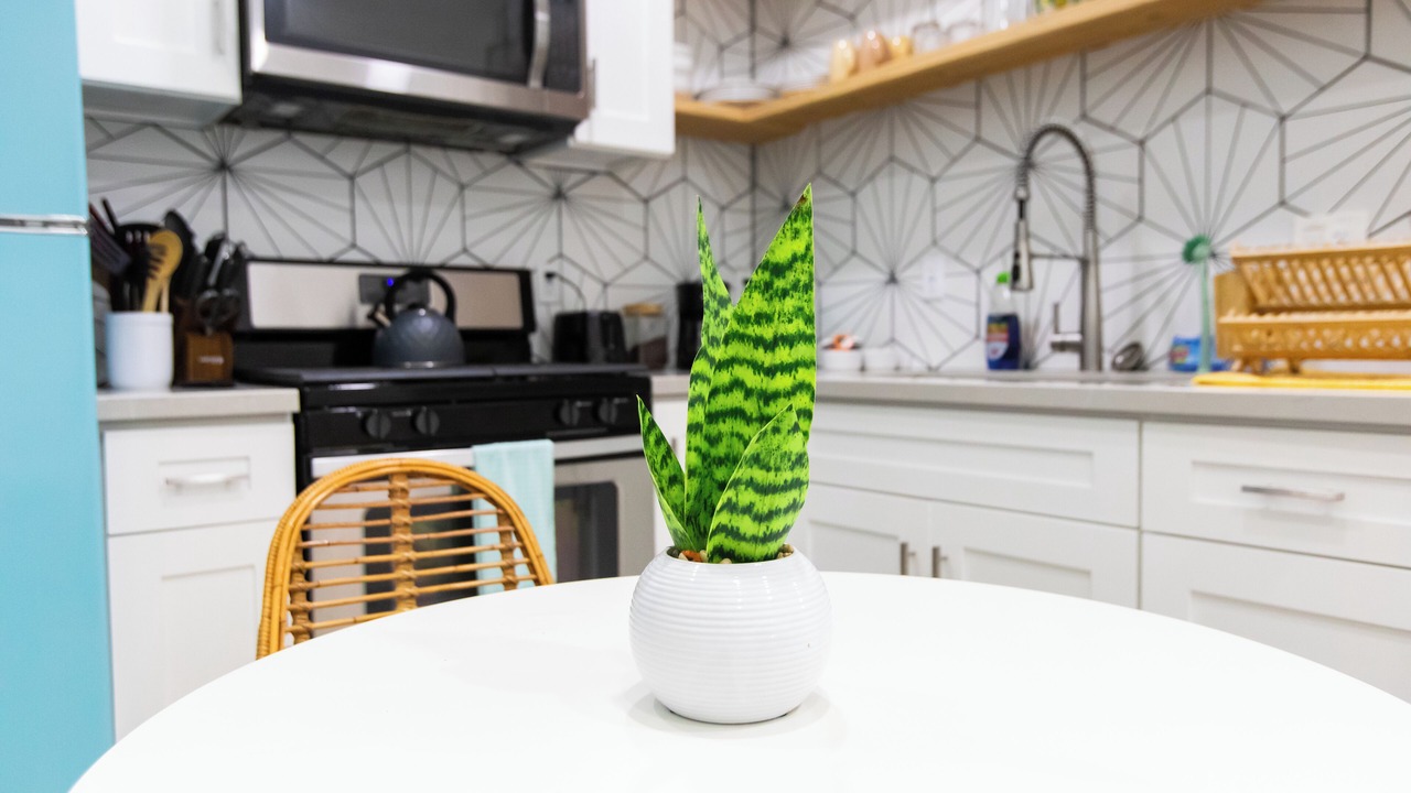 Photo of Kitchen in San Onofre