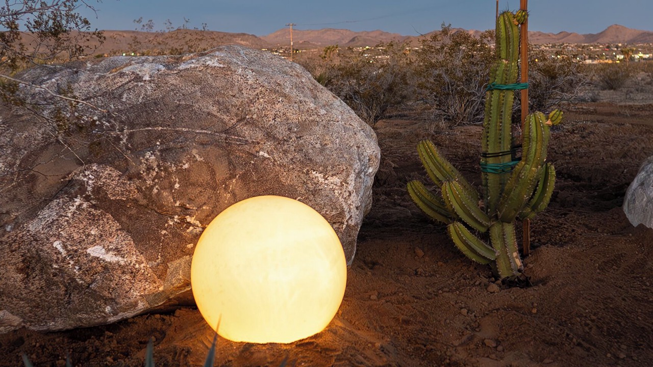 Photo of Others in Yucca Valley