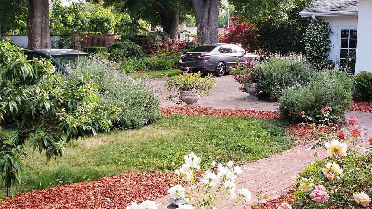 Photo of Others in Northridge